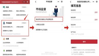 看食品合格吗 用中国政务服务平台小程序购物随时查